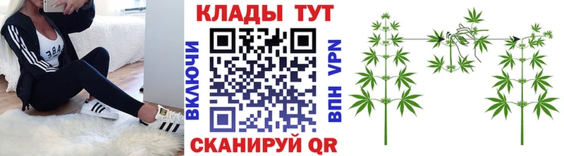 Где продают наркотики Андреаполь СК  Меф мяу мяу  ГАШИШ 
