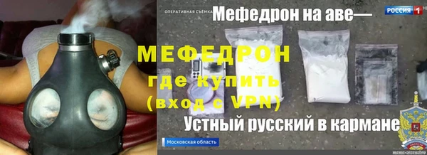 стафф Новодвинск