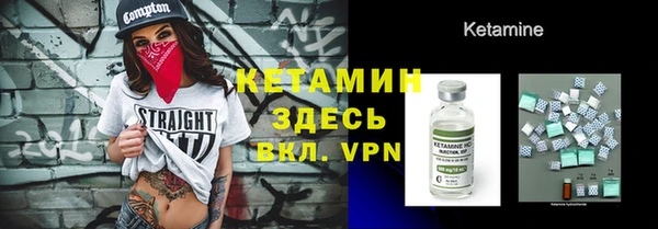 стафф Новодвинск