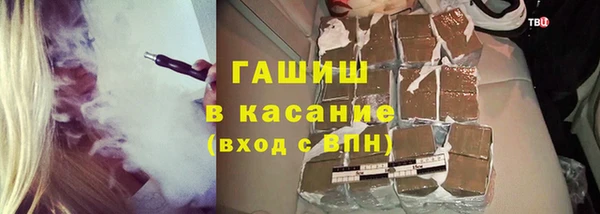 стафф Новодвинск