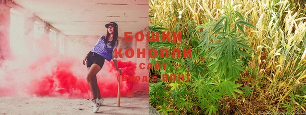 Альфа ПВП Нягань