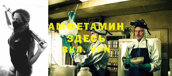 стафф Новодвинск