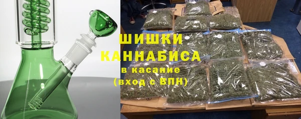 стафф Новодвинск