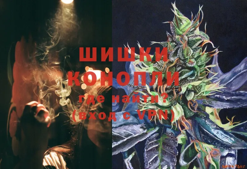 хочу   Андреаполь  Шишки марихуана White Widow 